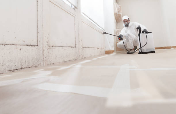 24/7 Emergency Attic Mold Removal experts in Williamstown, NJ