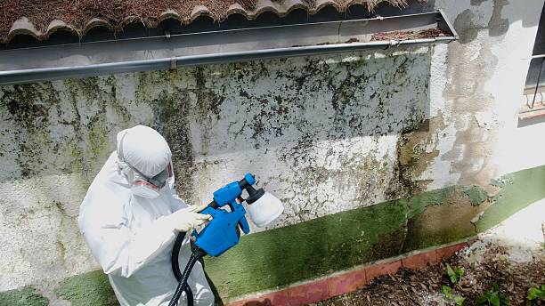 Top rated local Attic Mold Removal specialists in Williamstown, NJ